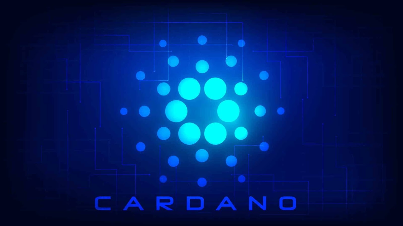 Cointree Is The Best Place To Purchase Cardano
