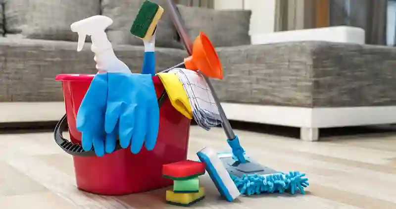 The Reason Why Everyone Love House Cleaning Business