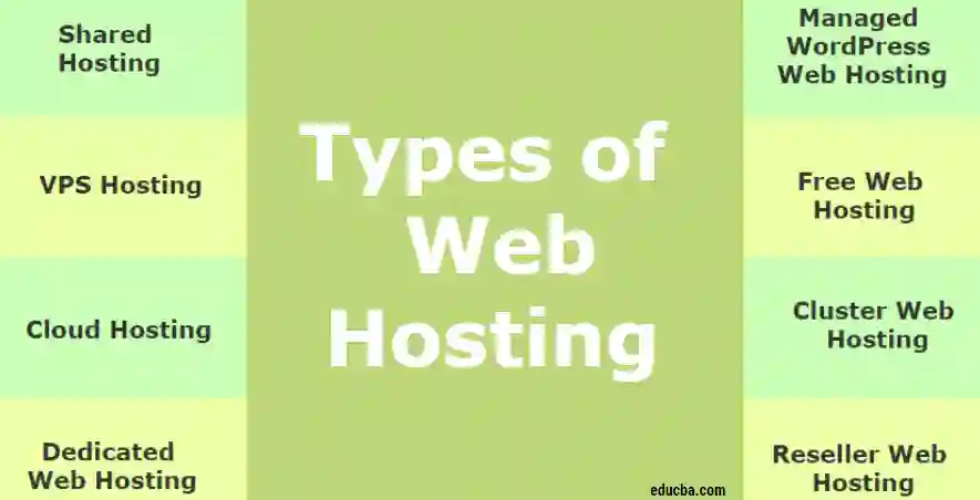 Elevate Your Website: A Guide to the Best Hosting Services Available